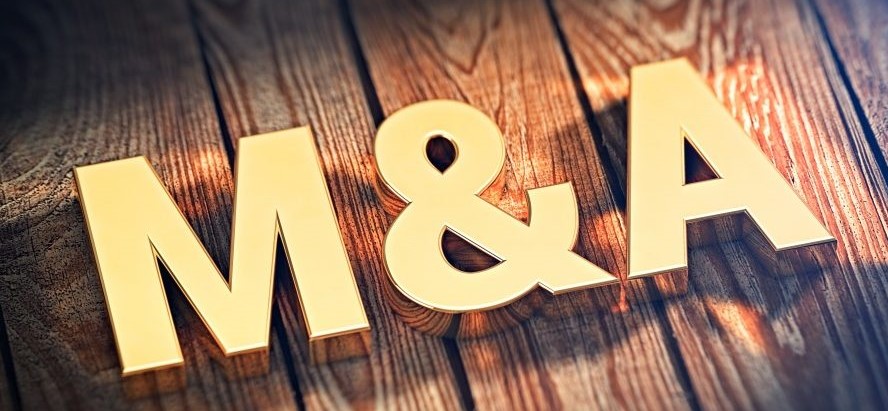 Understanding M&A